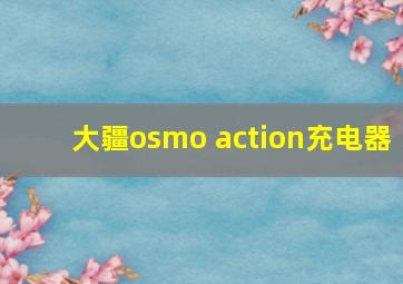 大疆osmo action充电器